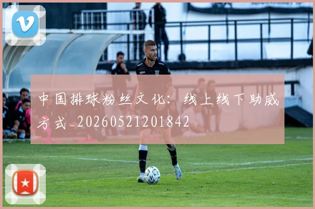 中国排球粉丝文化:线上线下助威方式_20260521201842
