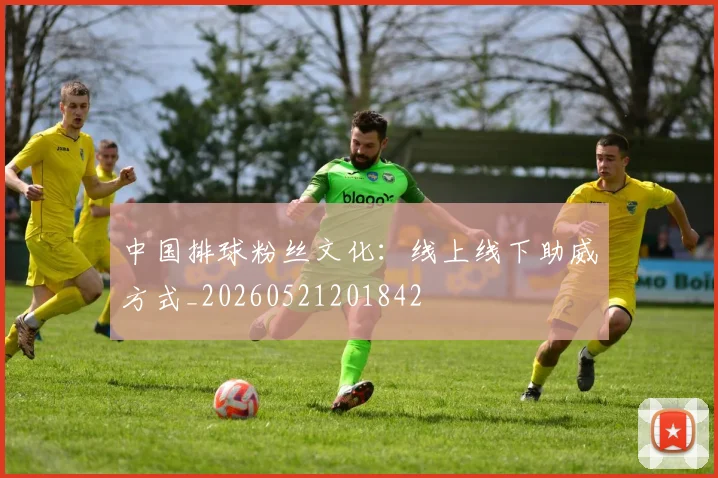 中国排球粉丝文化:线上线下助威方式_20260521201842